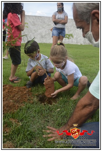 rolim de moura